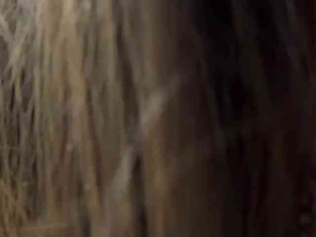 VernieWhitcher webcam