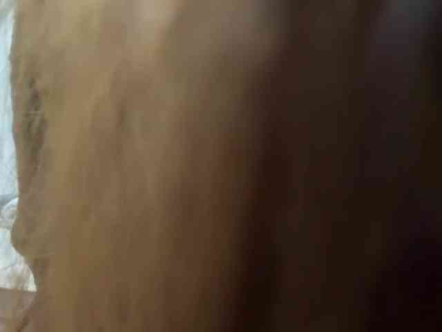 VernieWhitcher webcam