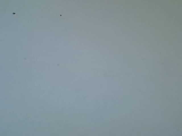 Queen-fantacy's BongaCams show and profile