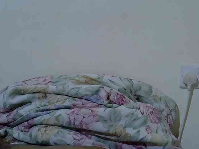 Queen-fantacy webcam