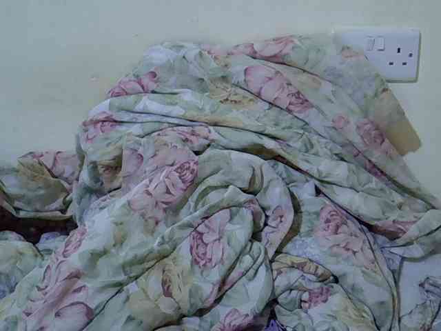 Queen-fantacy webcam