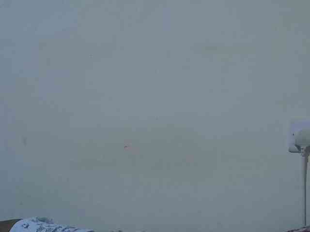 Queen-fantacy webcam