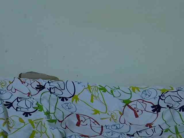 Queen-fantacy webcam