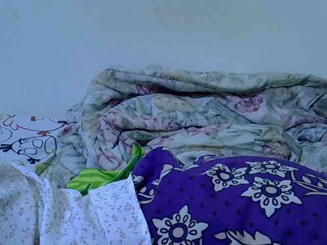 Queen-fantacy webcam