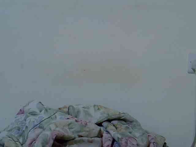 Queen-fantacy webcam