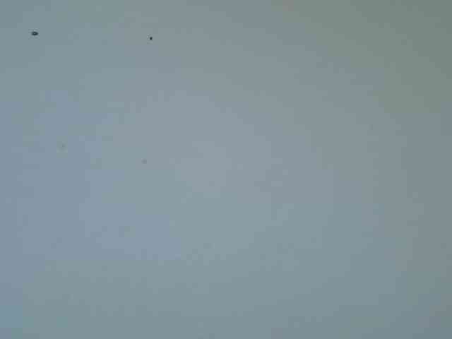 Queen-fantacy webcam