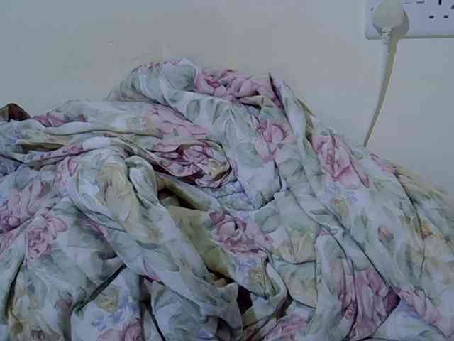 Queen-fantacy webcam