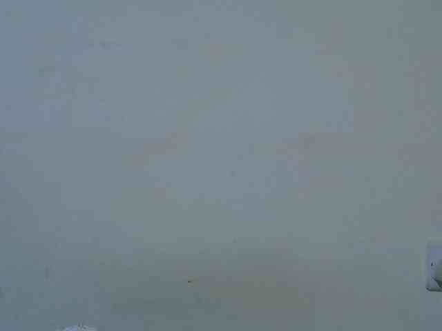 Queen-fantacy webcam