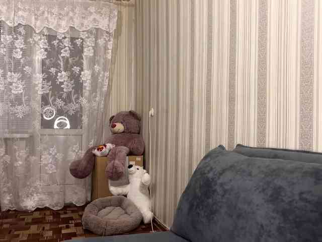 CameliaHovermale webcam