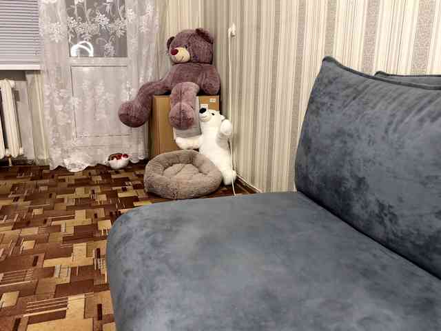 CameliaHovermale webcam