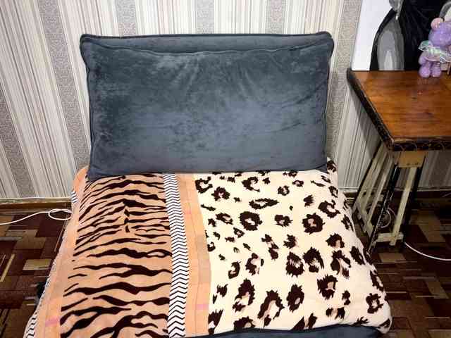 CameliaHovermale webcam