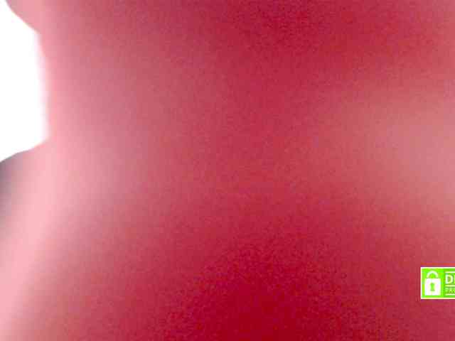 prettyveronika webcam