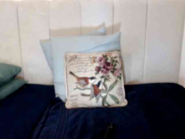 Splendidtalitha webcam