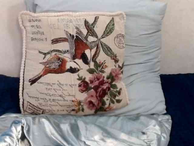 Splendidtalitha webcam