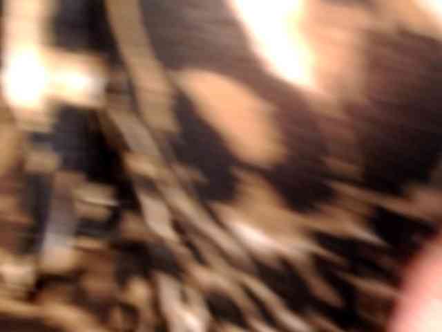 Splendidtalitha webcam