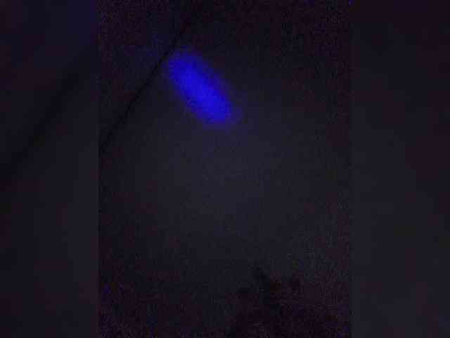 HappyLife0w0 HappyLife0w0