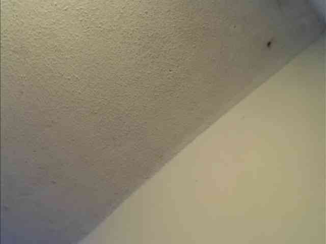 angelescute17 webcam