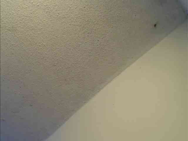 angelescute17 webcam