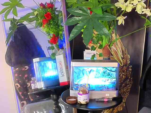 elizabethsecret webcam