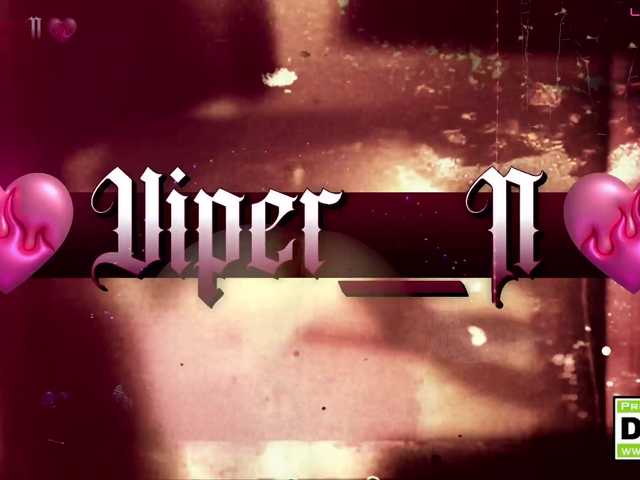 Viper-N1 – webcam model profile photo