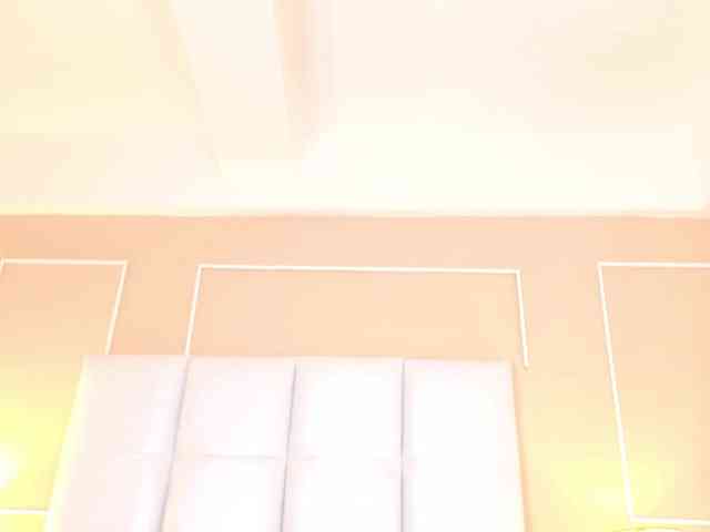 Dolly-Squirrt webcam