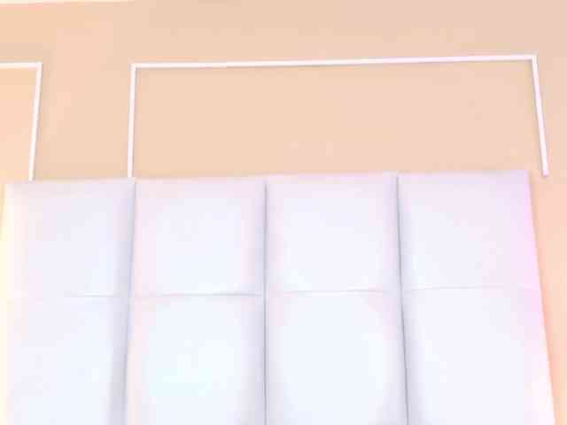 Dolly-Squirrt webcam