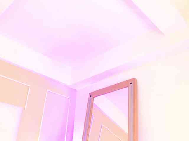 Dolly-Squirrt webcam