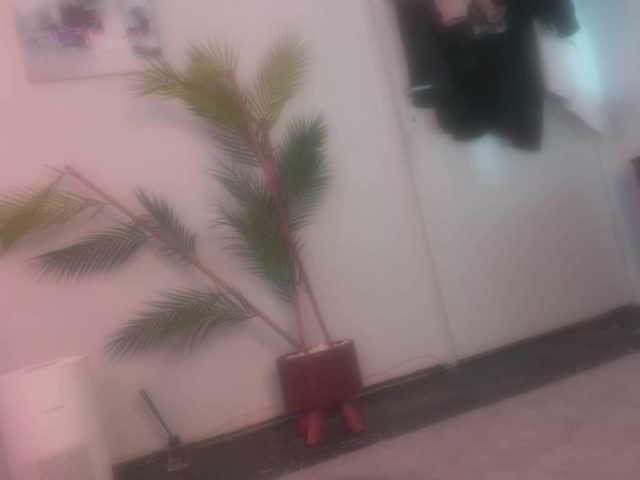 BlackValeri's BongaCams show and profile