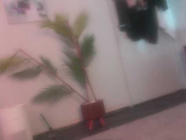 BlackValeri live room