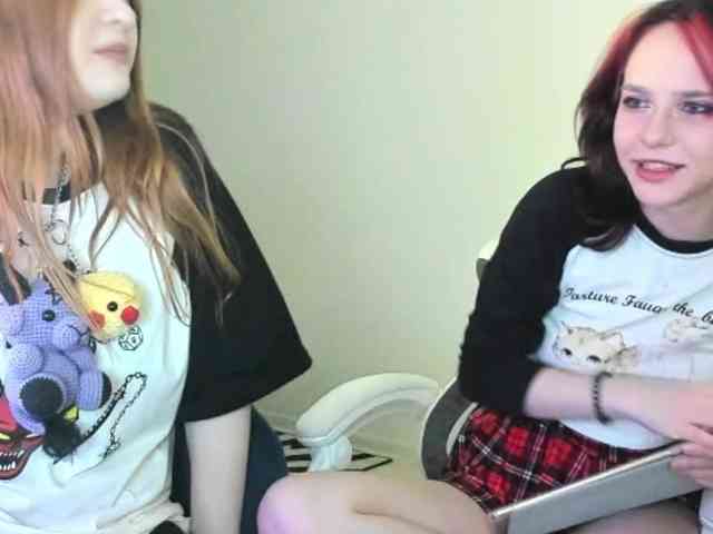 shawarmaanddoner webcam