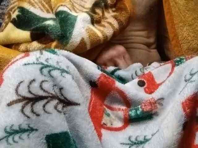 ironeagle11 ironeagle11