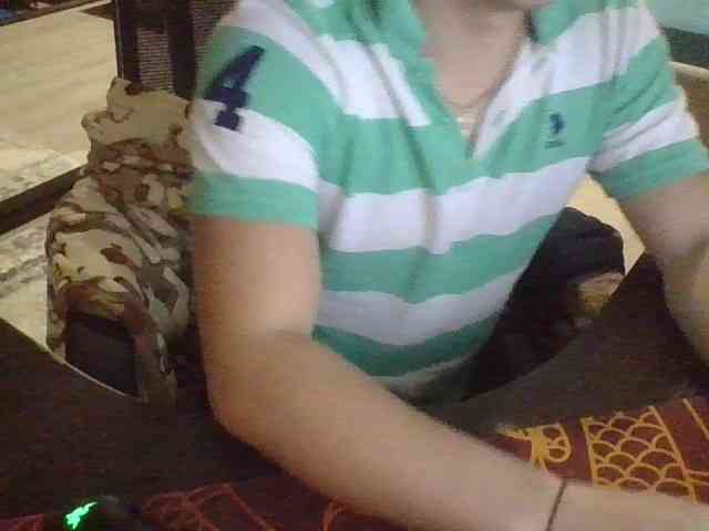 DreamDragon0 DreamDragon0