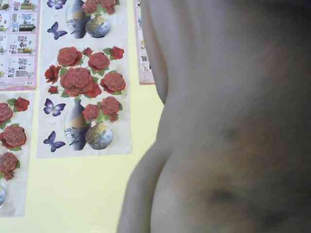 Brookbrook1 Brookbrook1