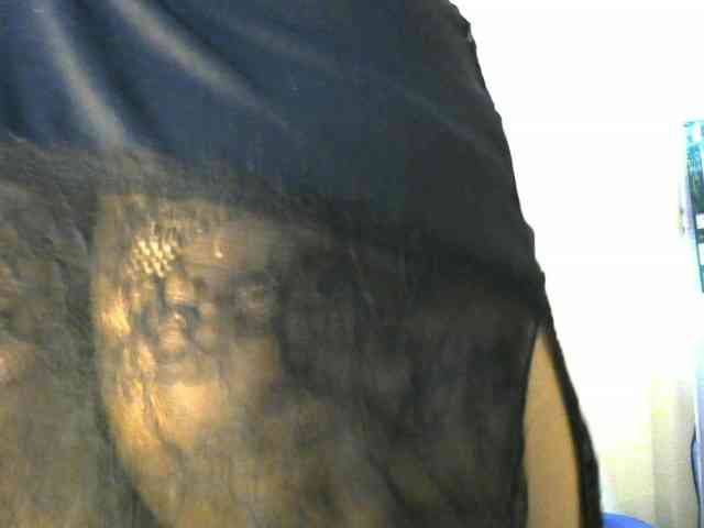 Brookbrook1 Brookbrook1