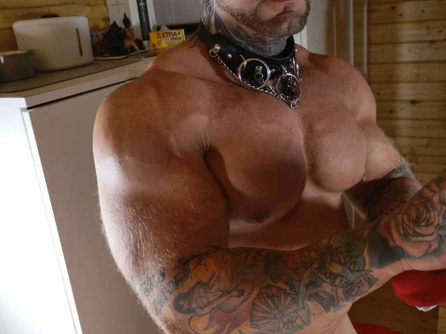 wild41 – webcam model profile photo