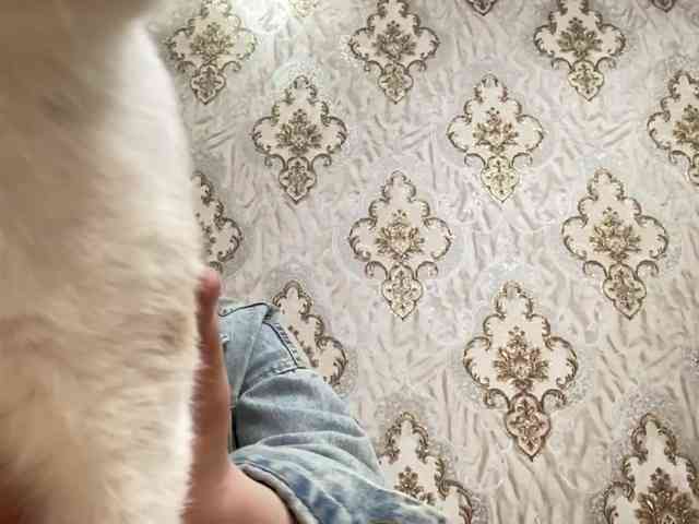 MachelleEchavarr... Live Webcam on BongaCams