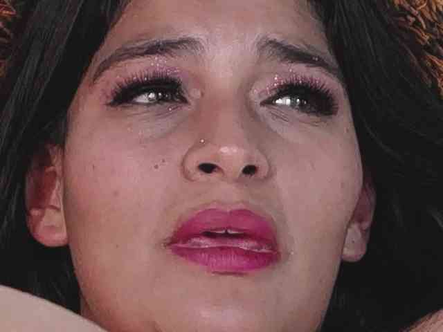 LannyShell LannyShell