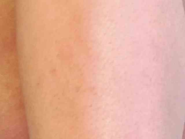 LannyShell LannyShell