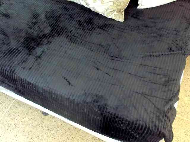 ZaraVesari ZaraVesari