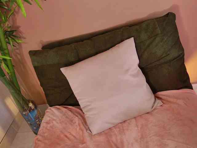 cherrycurl cherrycurl