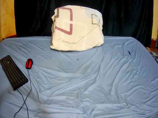 sweet-boobies webcam