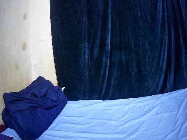 sweet-boobies sweet-boobies