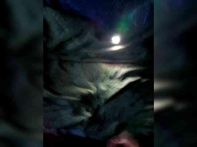 OldWincher007 OldWincher007