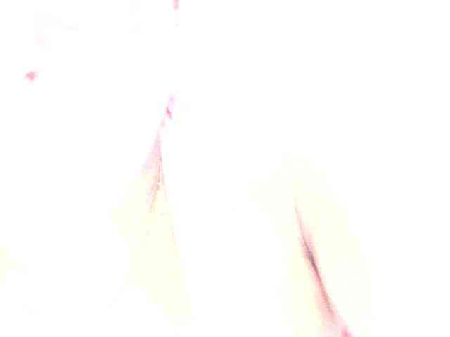 Sugarafricana webcam