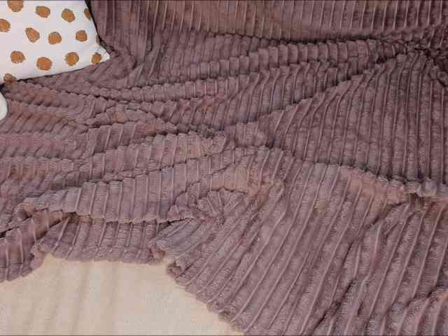 ViollaFoxxy ViollaFoxxy