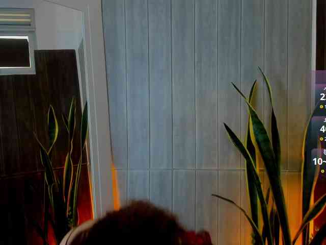 Adelaindiamond webcam