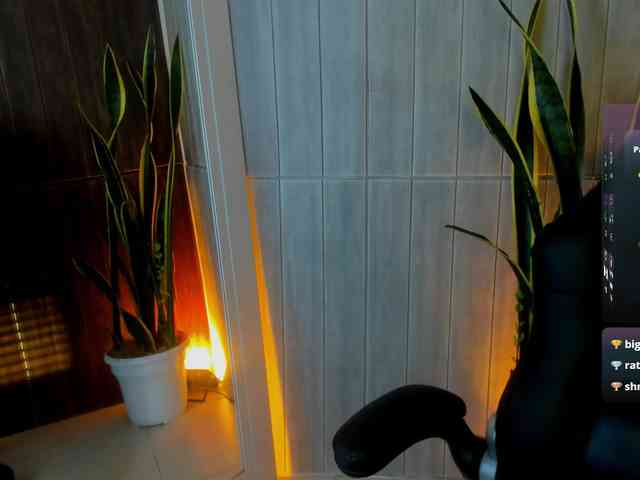 Adelaindiamond webcam