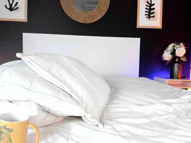 VioletPaket VioletPaket