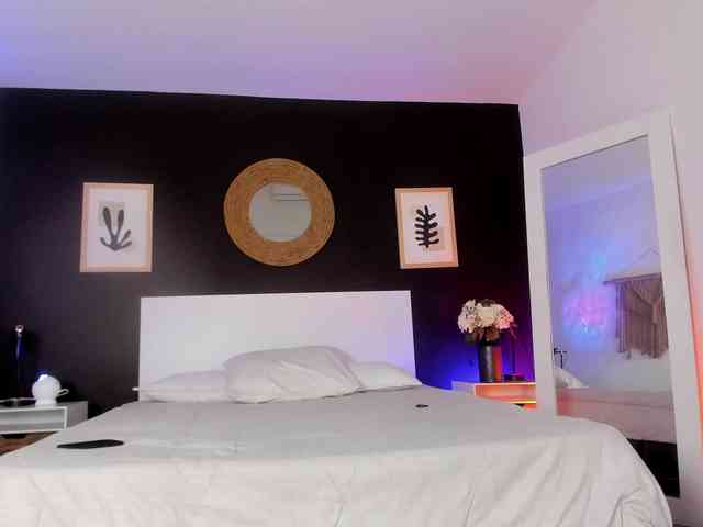 VioletPaket VioletPaket