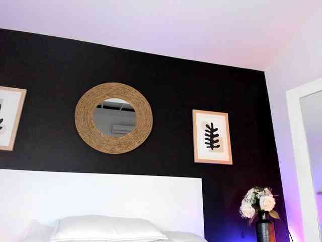 VioletPaket VioletPaket